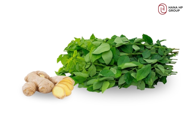 đắp mặt nạ rau ngót