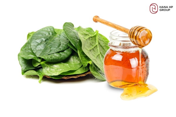 Kết hợp rau mồng tơi và mật ong làm mặt nạ dưỡng da