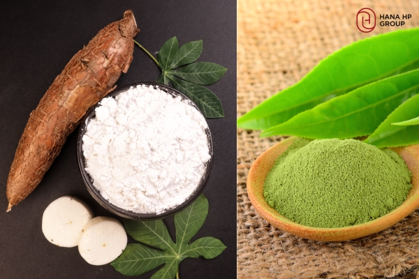 cách đắp mặt nạ bằng bột sắn dây trị nám