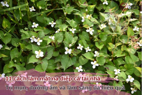mặt nạ diếp cá