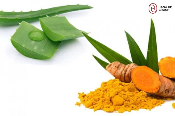 Nha đam cùng tinh bột nghệ – Giảm mụn, phục hồi tổn thương