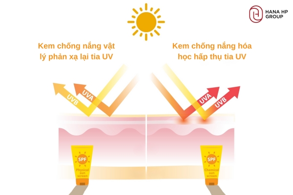 Cơ chế của kem chống nắng vật lý và hóa học