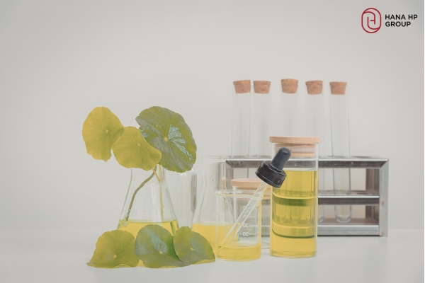 Ngành hóa mỹ phẩm bao gồm hóa hữu cơ và chiết xuất thiên nhiên