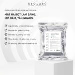 Premium Modeling Mask Pack Vitamin 1000g