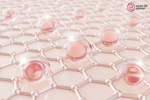 BHA cho người mới bắt đầu