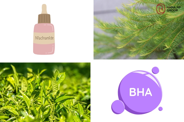 Các thành phần giúp điều tiết dầu trong kem chống nắng nâng tone