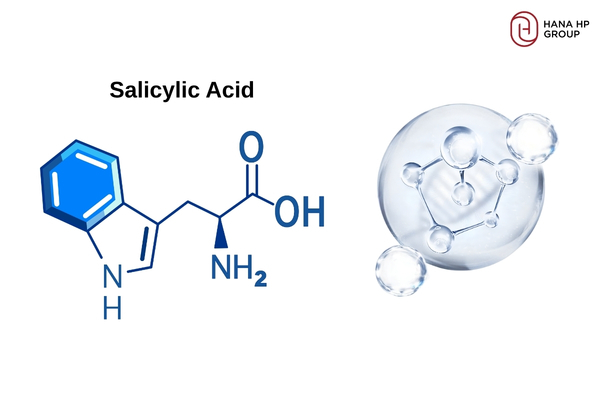 Salicylic Acid có thể tan trong dầu và len lỏi làm sạch lỗ chân lông