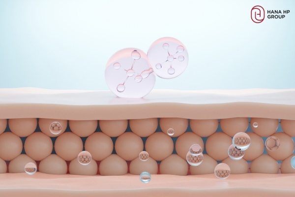 Hàng rào bảo vệ da cần được chăm sóc đều đặn hàng ngày