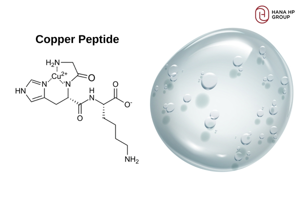 Copper Peptide là phức hợp giữa phân tử đồng và các peptide ngắn