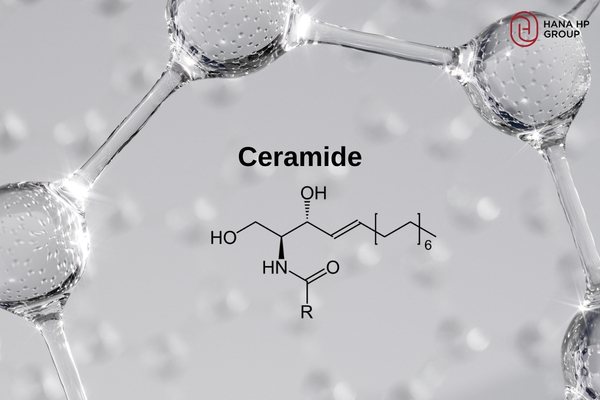 Là một loại lipid tự nhiên chiếm đến 50% cấu trúc lớp màng bảo vệ ngoài cùng của da