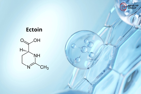 Top 5 kem dưỡng chứa Ectoin chống ánh sáng xanh và ô nhiễm