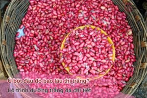 ủ bột đậu đỏ bao lâu thì trắng